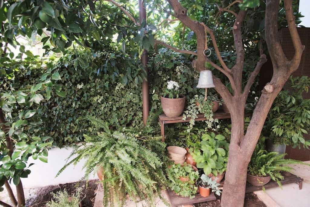 La Casa Del Jardin Villa Candeleda Ngoại thất bức ảnh