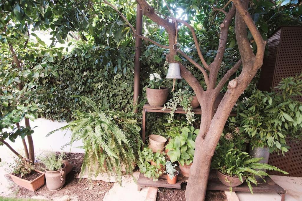 La Casa Del Jardin Villa Candeleda Ngoại thất bức ảnh